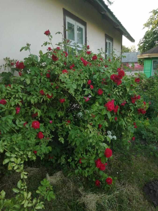 Kica Kroga Apartaments Ainazi Exterior photo